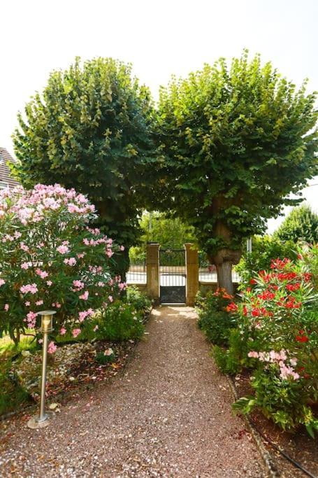 Vila F3 80 M2 Longere Plain Pied Au Centre Auxonne. Exteriér fotografie
